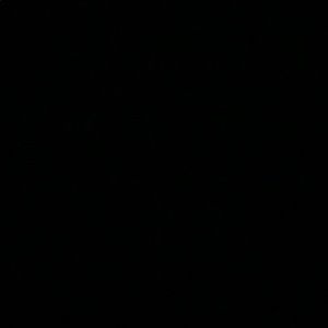 Meet your Posher, Jada